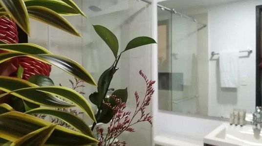Habitación Doble Básica