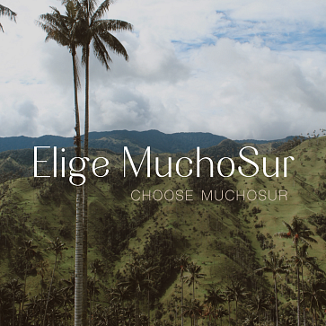¿Por qué MuchoSur?
