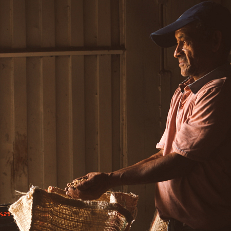 La identidad del Sur