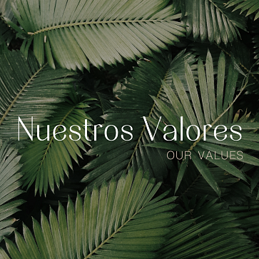 Nuestros valores