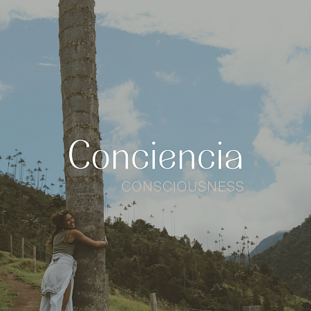 Conciencia