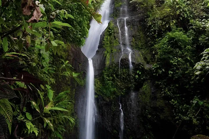 Descubre el Paisaje Cultural Cafetero