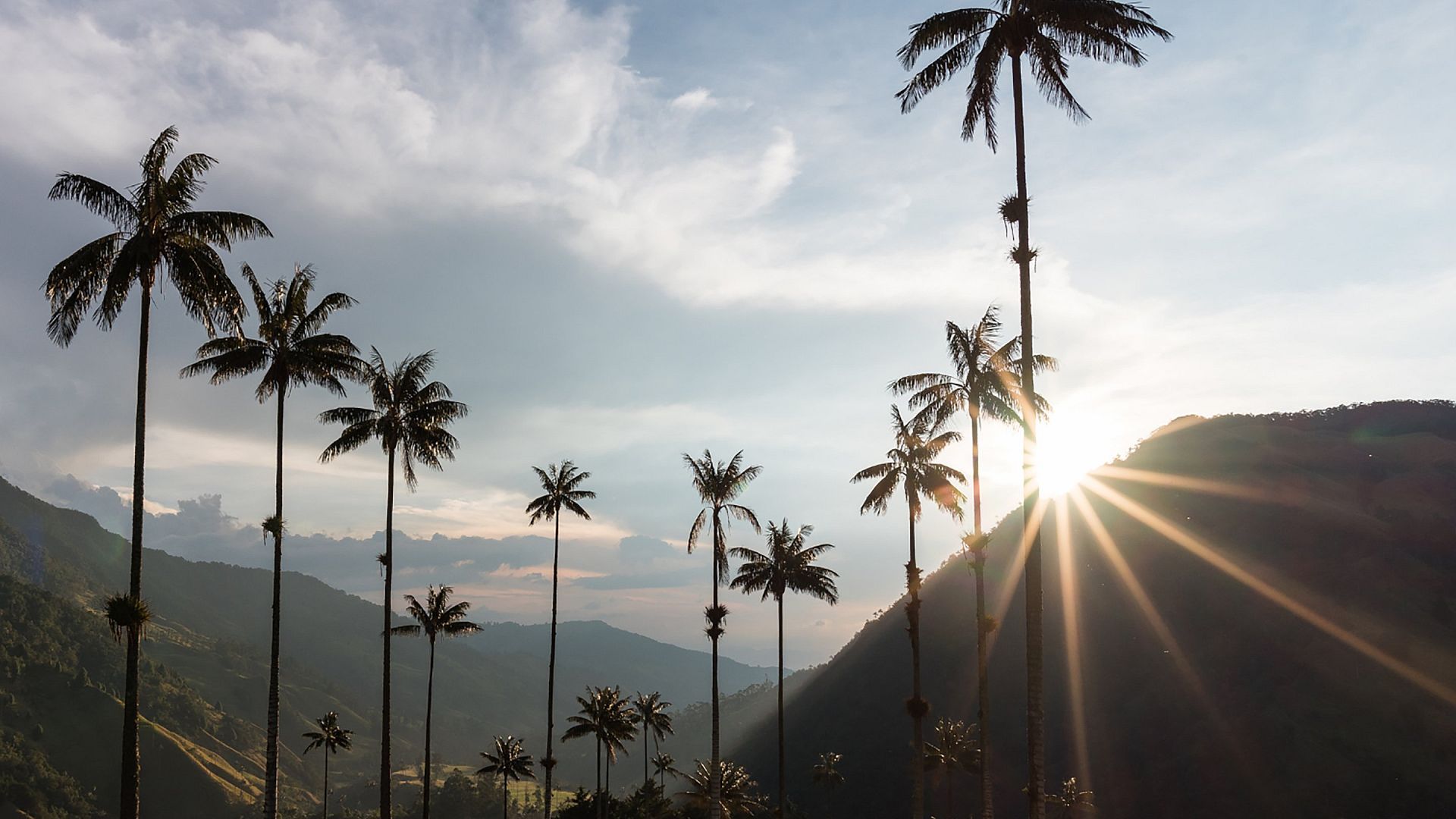 Paisaje Cultural Cafetero: Patrimonio de la Humanidad