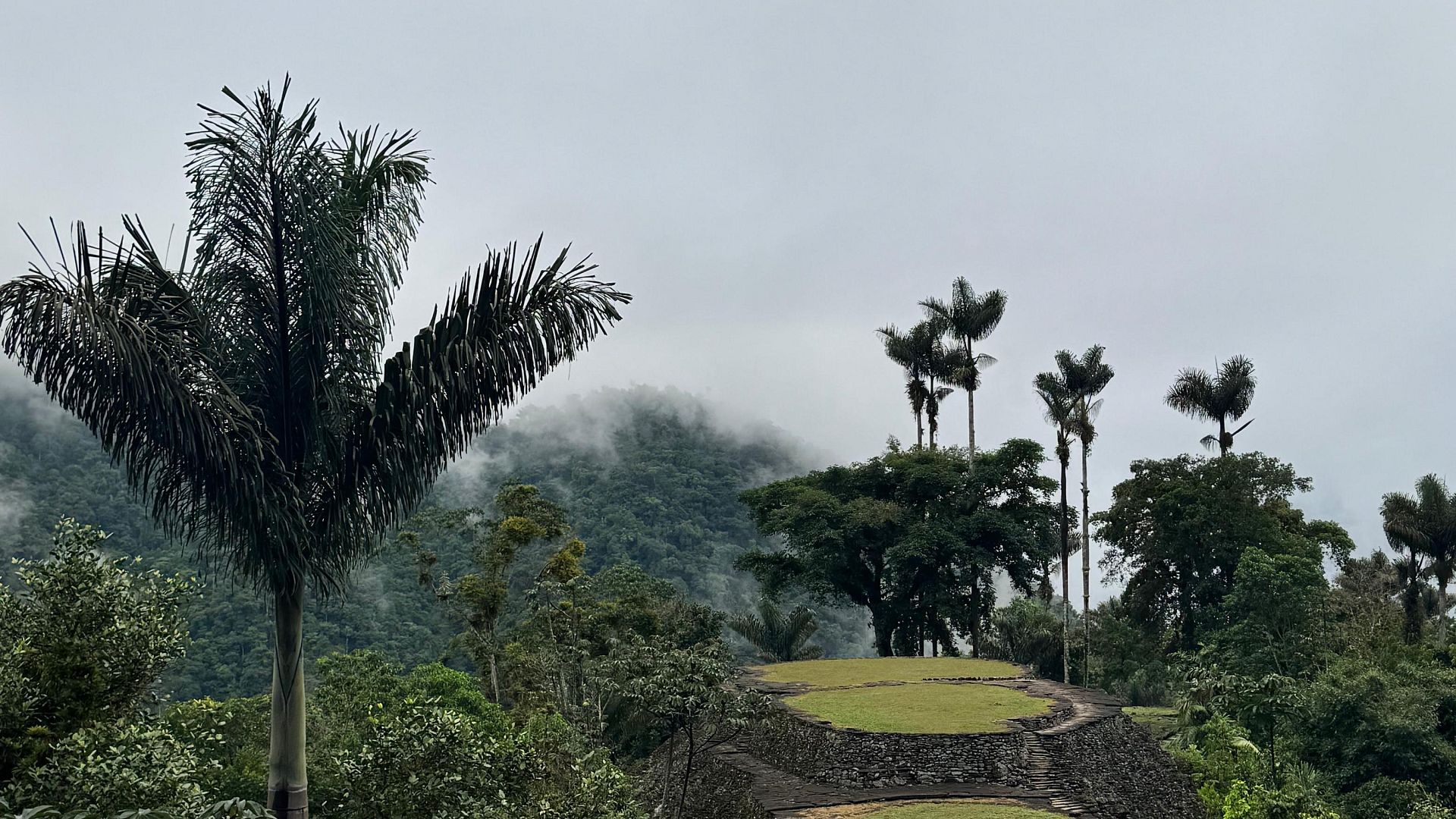 La naturaleza como legado vivo entre el Caribe y la Sierra Nevada