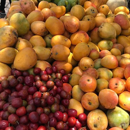 Frutas tropicales