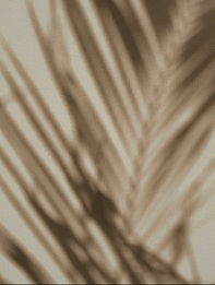 Conscious Hotels