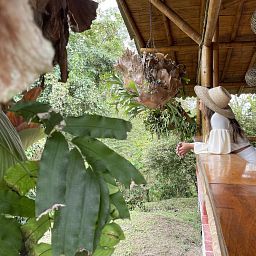 Una experiencia del Sur