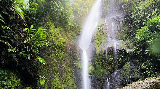 Cascada