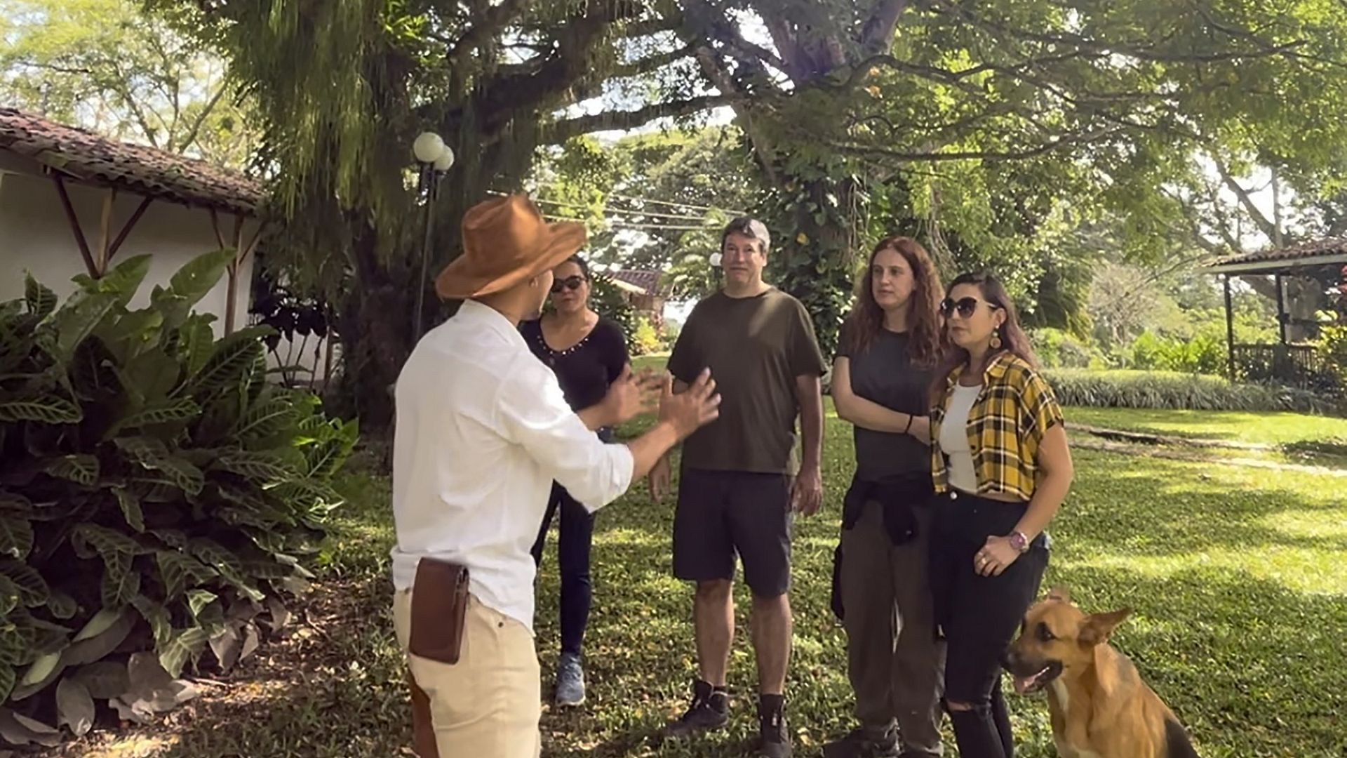 Finca Cafetera Experience